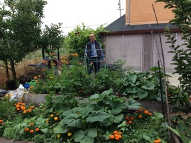 yulupa cohousing: garden shed